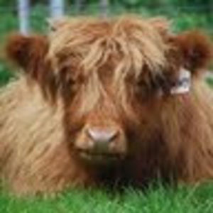 Meet your Posher, Cathy